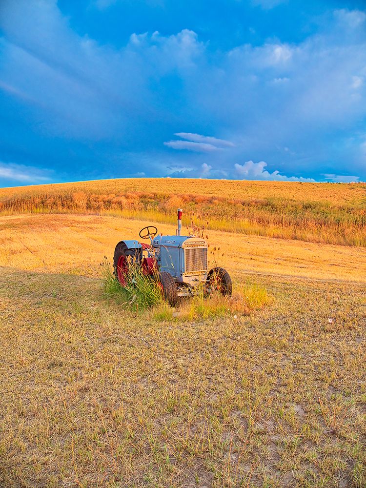 USA, Washington State. Old tractor in field of harvested wheat art print by Terry Eggers for $57.95 CAD