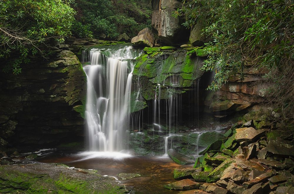 First or Upper Ekalaka Falls-Blackwater Falls State Park-West Virginia art print by Alan Majchrowicz for $57.95 CAD