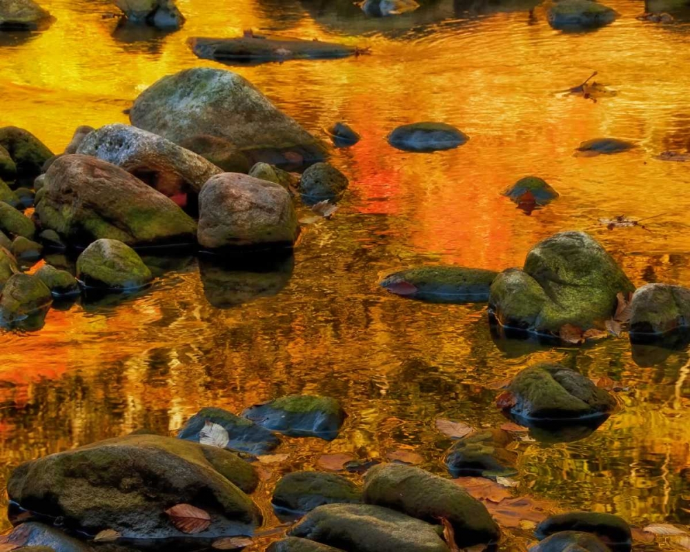 West Virginia, Davis Autumn reflections on pond art print by Jay OBrien for $57.95 CAD