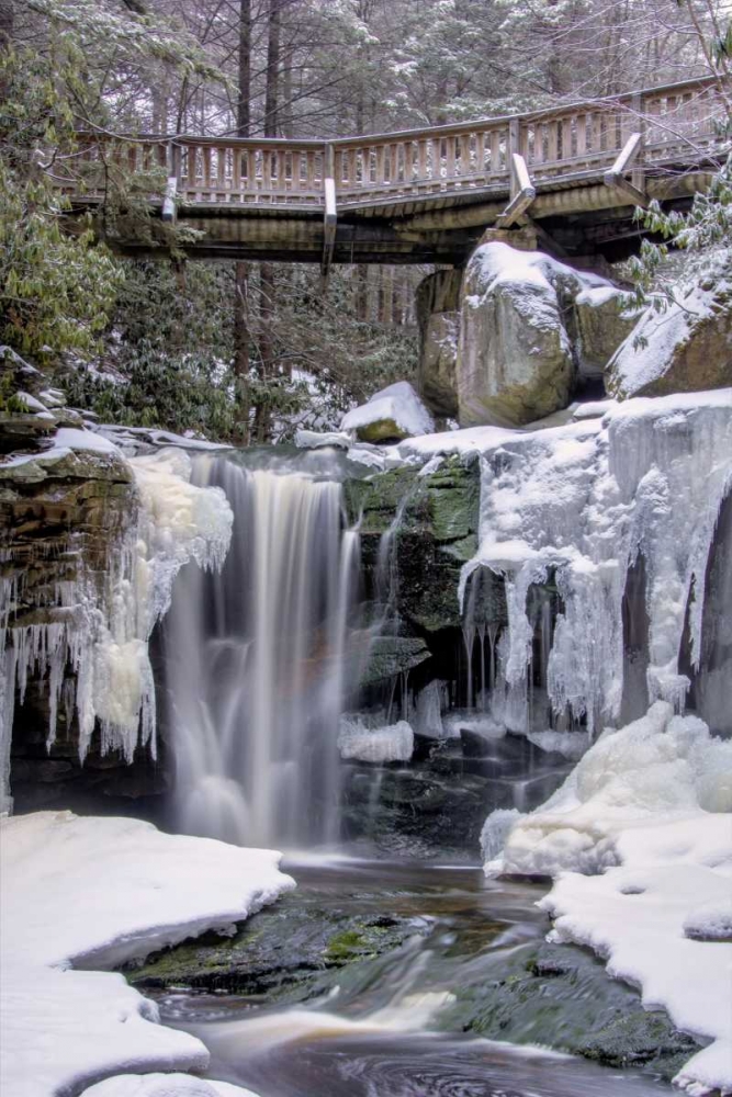 WV, Blackwater Falls SP Bridge and waterfall art print by Jay OBrien for $57.95 CAD