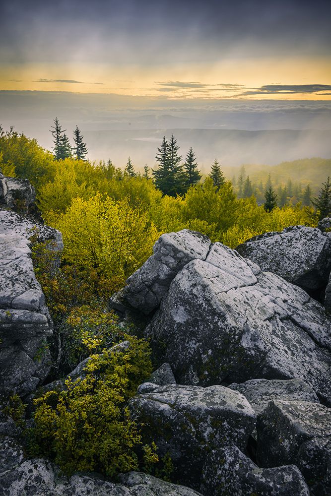 USA-West Virginia-Dolly Sods Wilderness Area Sunrise on mountain boulders and forest art print by Jaynes Gallery for $57.95 CAD
