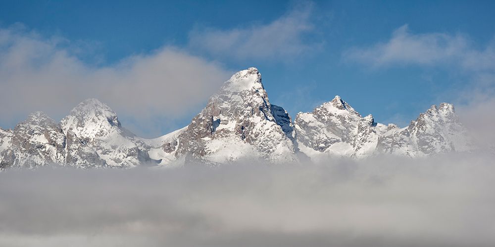 Wyoming, Jackson. Grand Teton NP, Fog hovers beneath Middle Teton, Grand Teton, and Mount Owen art print by Ann Collins for $57.95 CAD