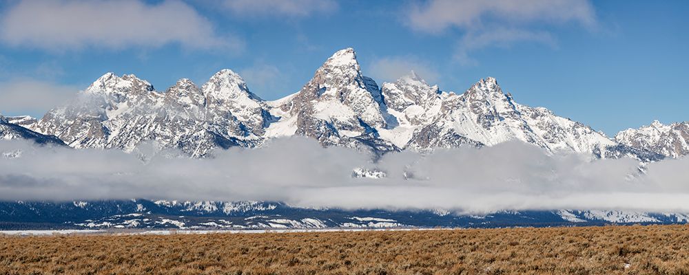 Wyoming, Jackson. Grand Teton NP, Panoramic view of fog hovering beneath the Teton Range art print by Ann Collins for $57.95 CAD