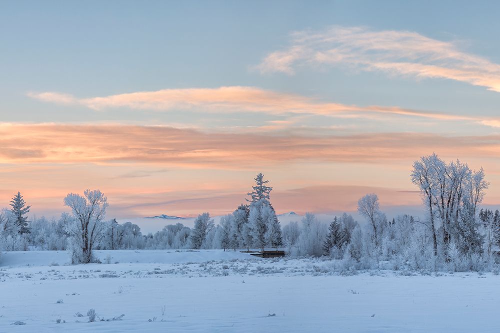Wyoming, Jackson. Grand Teton NP, Dawn over the parks Moose Junction entrance on a frosty morning art print by Ann Collins for $57.95 CAD