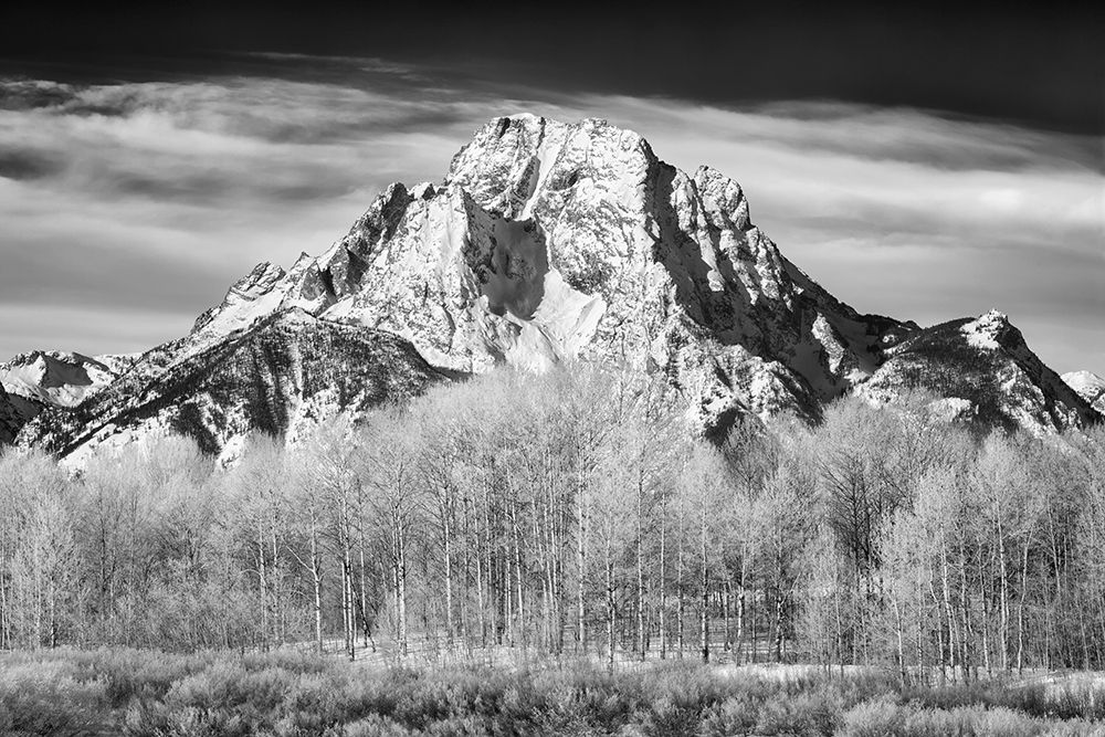 Wyoming, Jackson. Grand Teton NP, Mount Moran and frosted aspen trees on a sunny day at Oxbow Bend art print by Ann Collins for $57.95 CAD
