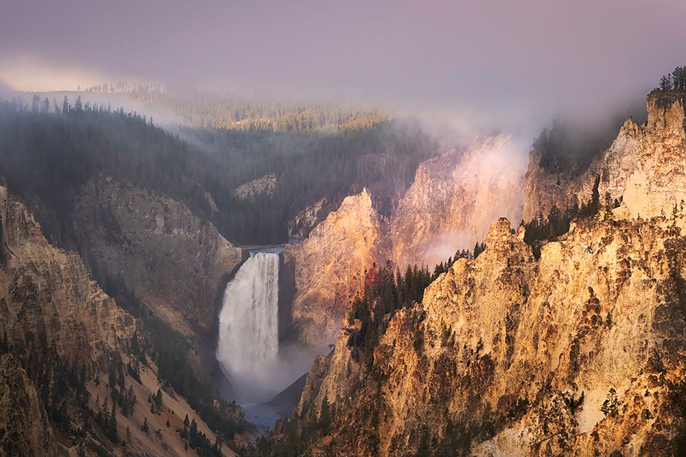 Lower Falls at sunrise from Artist Point-Yellowstone National Park-Wyoming art print by Adam Jones for $57.95 CAD