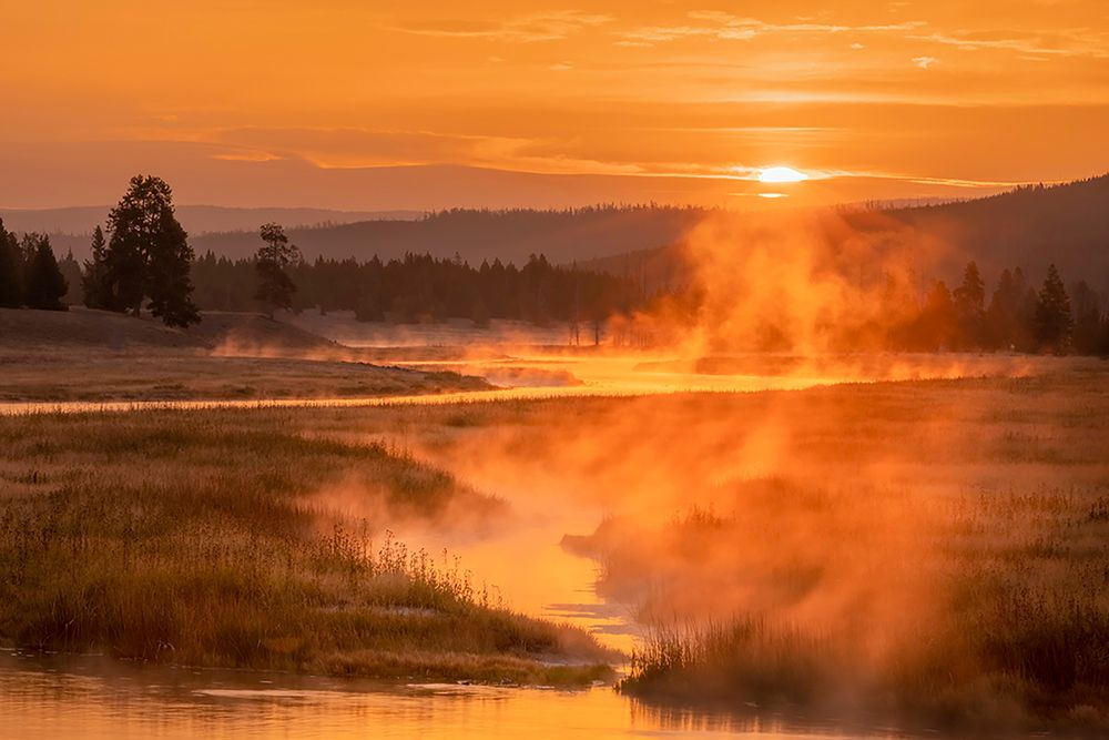 Madison River at sunrise-Yellowstone National Park-Wyoming art print by Adam Jones for $57.95 CAD