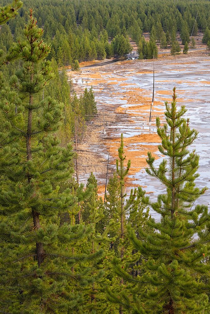 Elevated view of runoff water and bacterial mat-Grand Prismatic spring art print by Adam Jones for $57.95 CAD