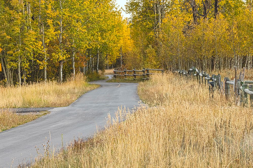 Bike path in autumn-Grand Teton National Park-Wyoming art print by Adam Jones for $57.95 CAD