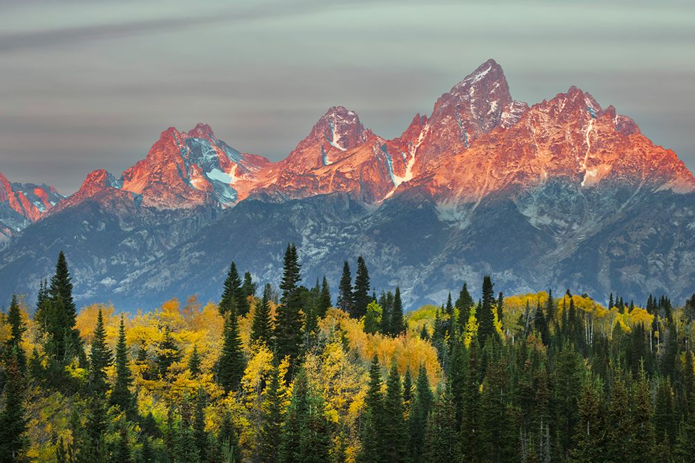 Autumn view of Teton Range at sunrise-Grand Teton National Park-Wyoming art print by Adam Jones for $57.95 CAD