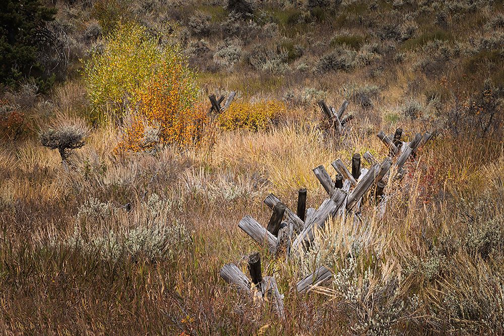 Rail fence in autumn-Grand Teton National Park-Wyoming art print by Adam Jones for $57.95 CAD