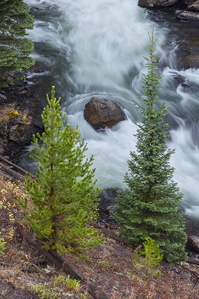 Flowing water in Firehole River-Yellowstone National Park-Wyoming art print by Adam Jones for $57.95 CAD
