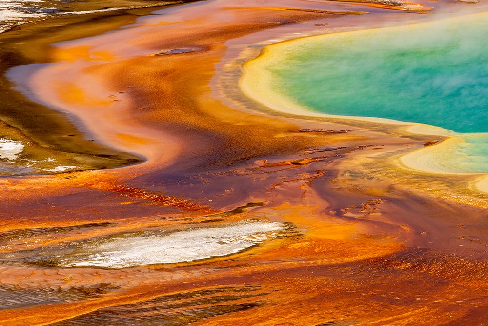 Elevated view of patterns in bacterial mat around Grand Prismatic spring art print by Adam Jones for $57.95 CAD