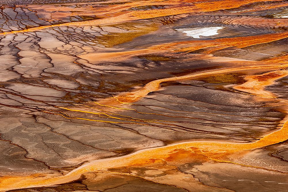 Elevated view of patterns in bacterial mat around Grand Prismatic spring art print by Adam Jones for $57.95 CAD