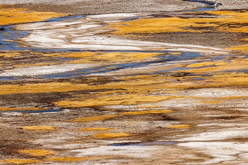 Elevated view of patterns in bacterial mat around Grand Prismatic spring art print by Adam Jones for $57.95 CAD