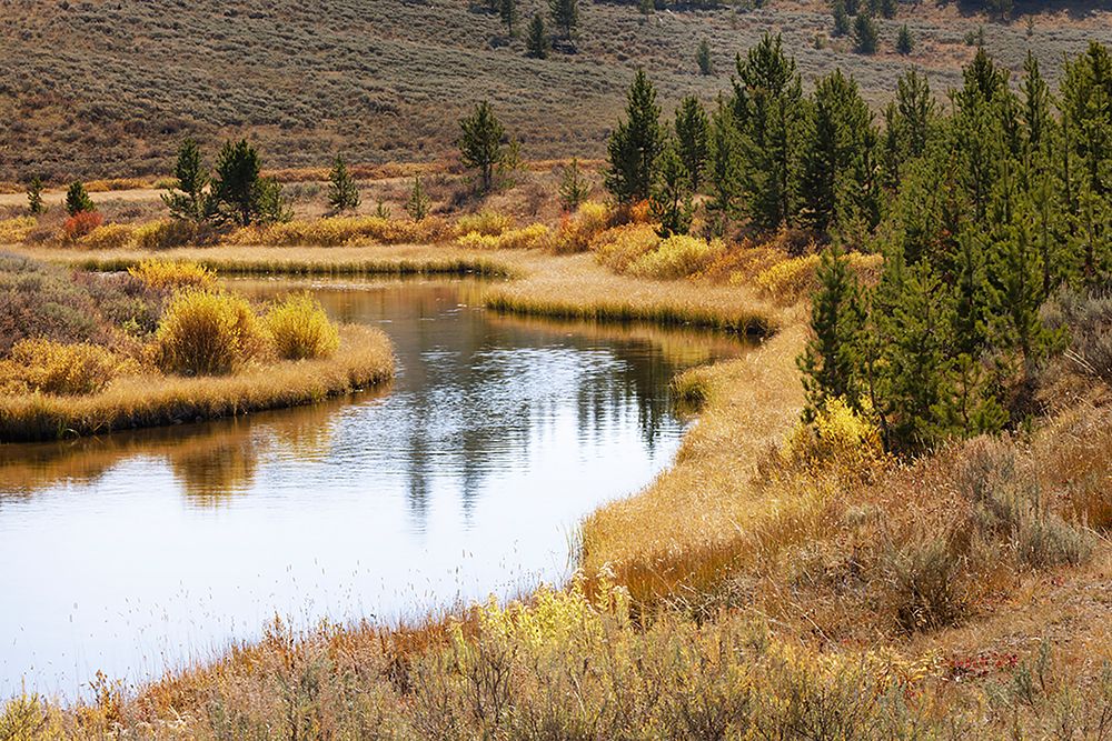 Autumn view of Gardiner River-Yellowstone National Park-Wyoming art print by Adam Jones for $57.95 CAD