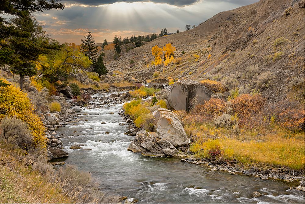 Gardiner River-Yellowstone National Park-Wyoming art print by Adam Jones for $57.95 CAD