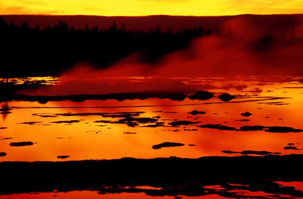 WY, Yellowstone Vapor flows from Grand Geyser art print by Nancy ,  Steve Ross for $57.95 CAD