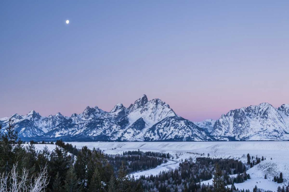 Wyoming, Grand Tetons Moon over winter landscape art print by Cathy and Gordon Illg for $57.95 CAD
