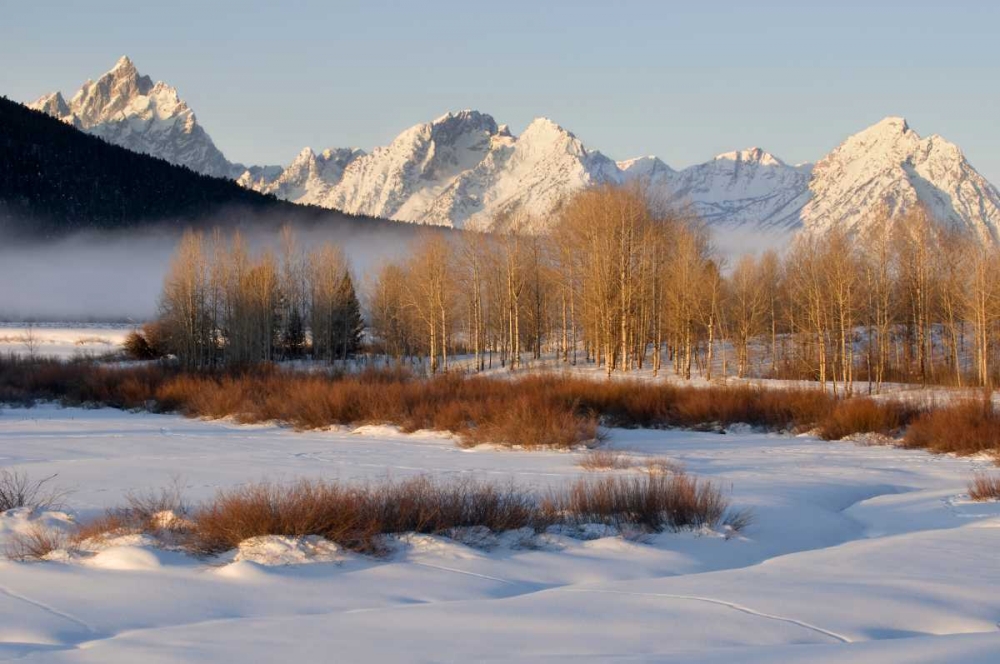 Wyoming, Grand Tetons NP Oxbow Bend in winter art print by Marie Bush for $57.95 CAD