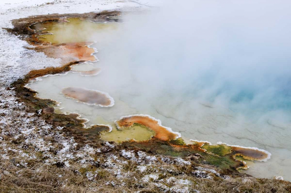 USA, Wyoming, Yellowstone NP Silex Spring pool art print by Marie Bush for $57.95 CAD