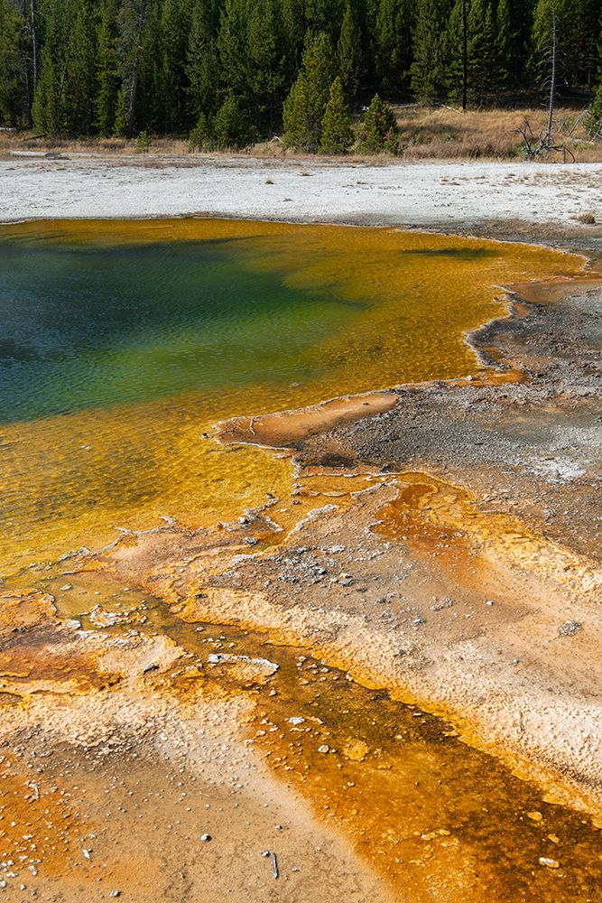 USA-Wyoming-Yellowstone National Park-Black Sand Basin-Emerald Pool-Green pool with yellow thermopi art print by Cindy Miller Hopkins for $57.95 CAD