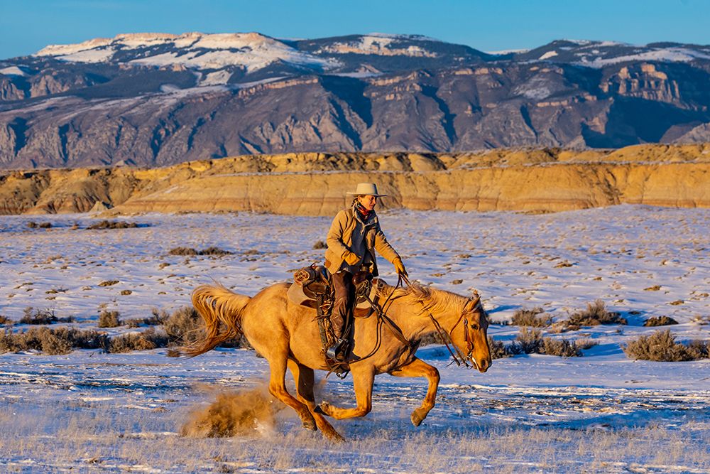 USA- Shell- Wyoming. Hideout Ranch cowgirl riding fast snows.  art print by Darrell Gulin for $57.95 CAD