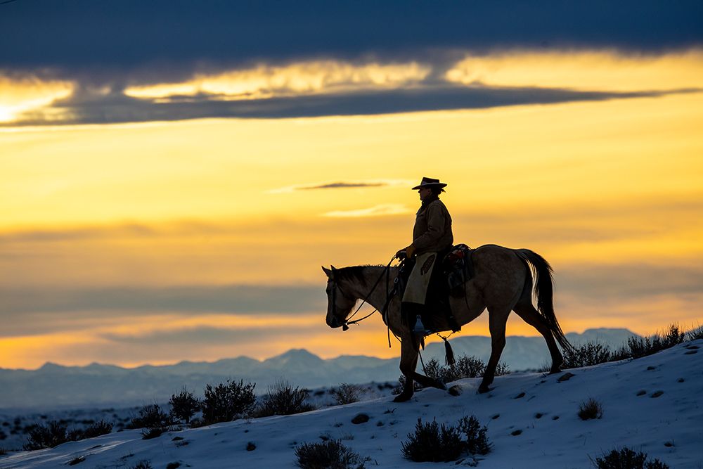 USA- Shell- Wyoming. Hideout Ranch cowgirl silhouetted on horseback at sunset.  art print by Darrell Gulin for $57.95 CAD