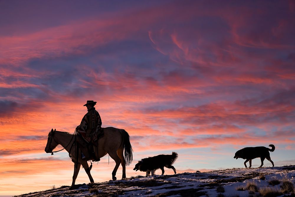 USA- Shell- Wyoming. Hideout Ranch cowgirl and her two dogs horseback riding at sunset.  art print by Darrell Gulin for $57.95 CAD