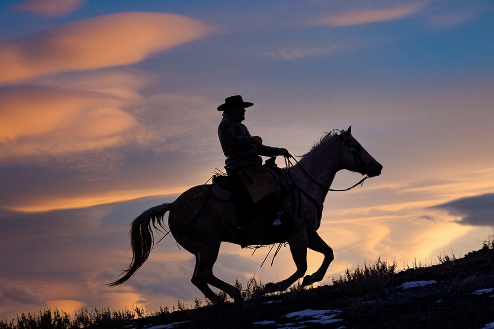 USA- Shell- Wyoming. Hideout Ranch cowboy on horseback silhouetted at sunset.  art print by Darrell Gulin for $57.95 CAD