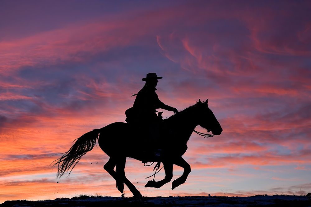 USA- Shell- Wyoming. Hideout Ranch cowgirl silhouetted on horseback at sunset.  art print by Darrell Gulin for $57.95 CAD