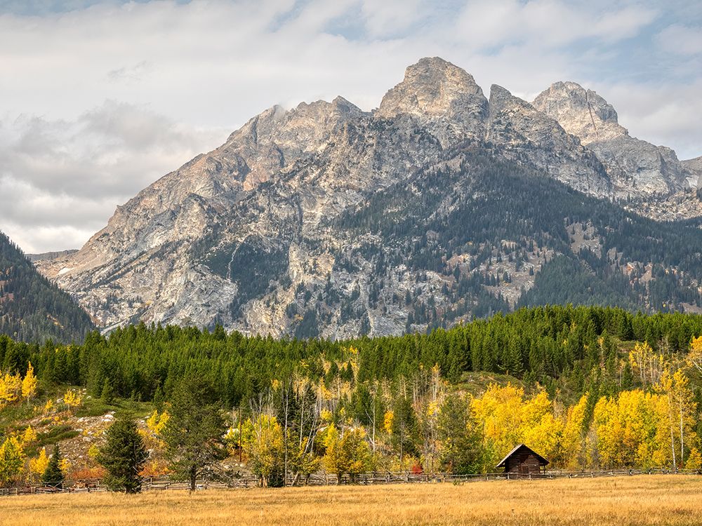 Wyoming- Grand Teton National Park. Teton Range and golden Aspen trees art print by Jamie and Judy Wild for $57.95 CAD