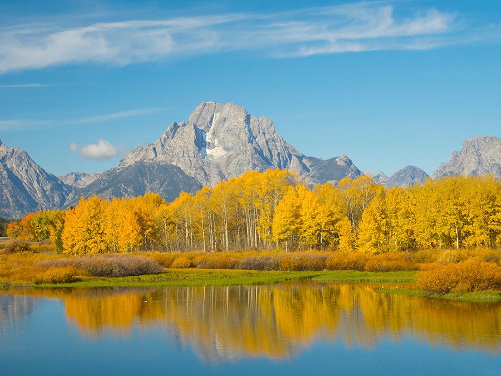 Wyoming- Grand Teton National Park. Mount Moran and golden Aspen trees art print by Jamie and Judy Wild for $57.95 CAD