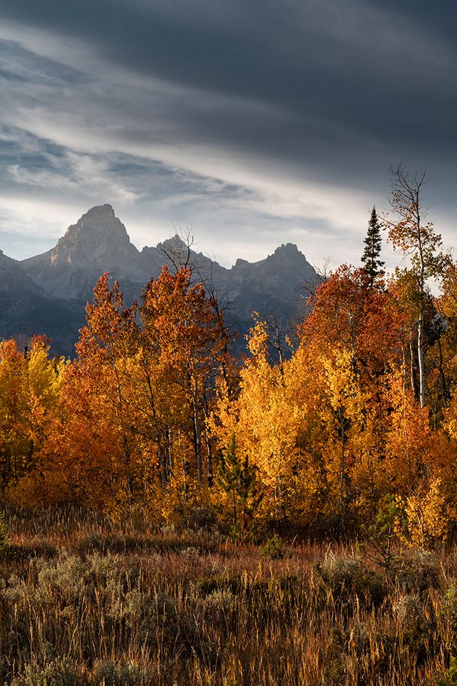 USA-Wyoming. Autumn evening near Black Tail Butte-Grand Teton National Park. art print by Judith Zimmerman for $57.95 CAD