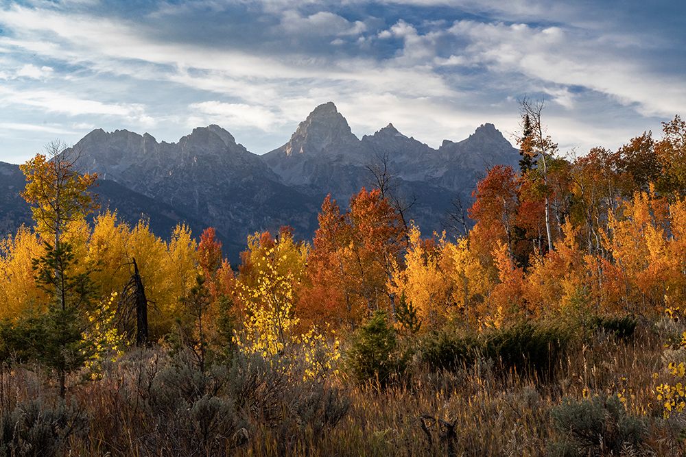 USA-Wyoming. Autumn evening near Black Tail Butte-Grand Teton National Park. art print by Judith Zimmerman for $57.95 CAD