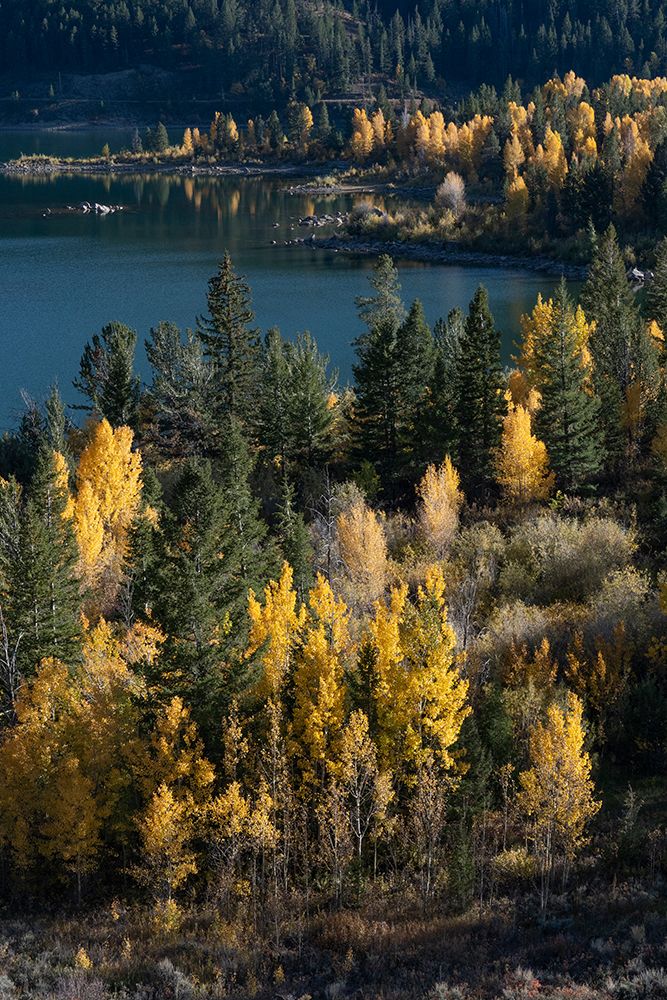 USA-Wyoming. Slide Lake-Bridger Teton National Forest. art print by Judith Zimmerman for $57.95 CAD