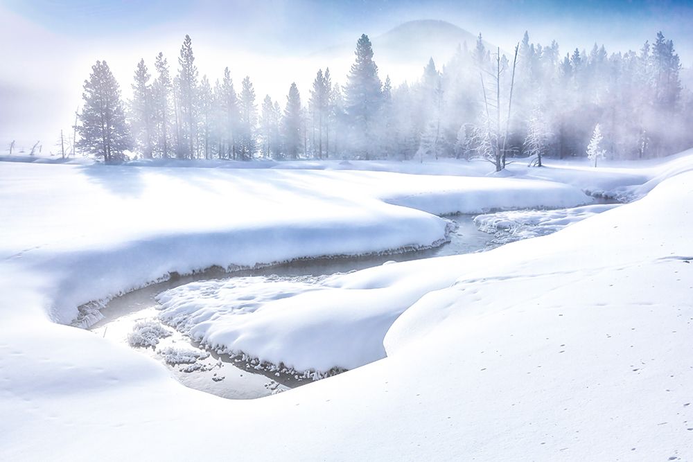 Gibbon River in Yellowstone National Park art print by Michael Schertz for $57.95 CAD