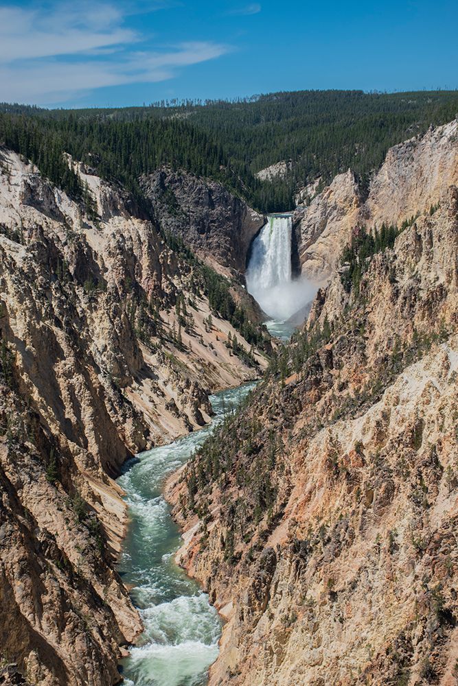 Lower Yellowstone Falls-Grand Canyon of the Yellowstone-Yellowstone National Park-Wyoming-USA art print by Roddy Scheer for $57.95 CAD
