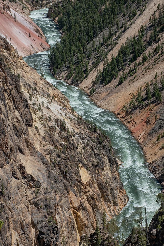 Yellowstone River and Grand Canyon of the Yellowstone-Yellowstone National Park-Wyoming-USA art print by Roddy Scheer for $57.95 CAD