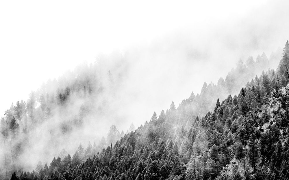 Wyoming-Hoback-clouds intermingling with evergreens on rainy morning in black and white art print by Sylvia Gulin for $57.95 CAD