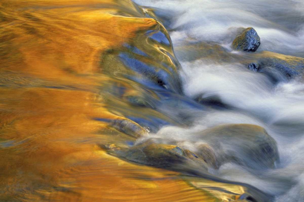 Northeast, Fall reflections on stream rapids art print by Nancy Rotenberg for $57.95 CAD