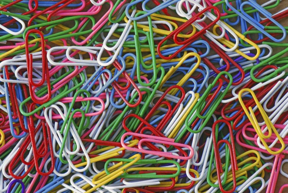 USA, Assortment of multicolored paper clips art print by Steve Terrill for $57.95 CAD
