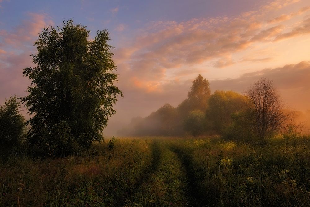 Misty Dawn art print by Kirill Volkov for $57.95 CAD