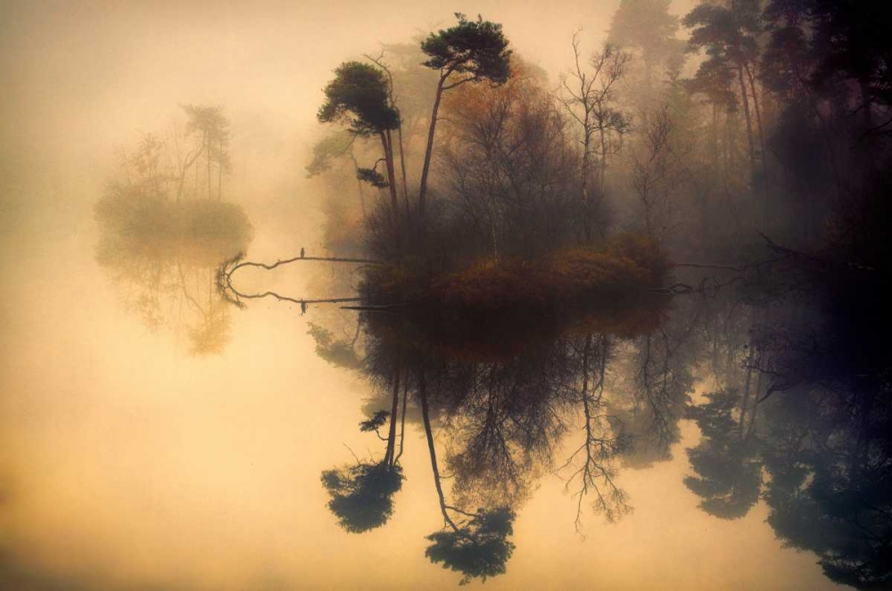 My Place art print by Anton Van Dongen for $57.95 CAD
