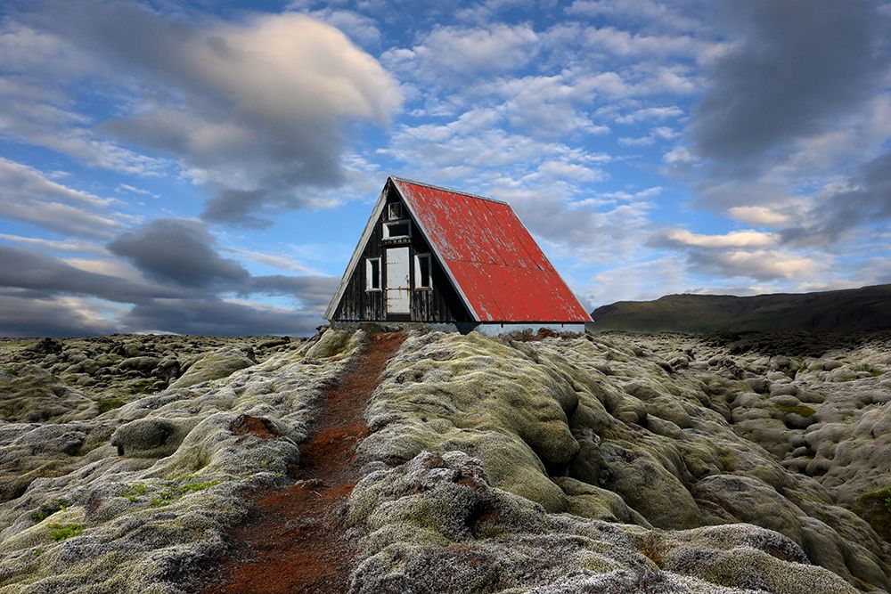 The red path to the red roof art print by Michel Romaggi for $57.95 CAD