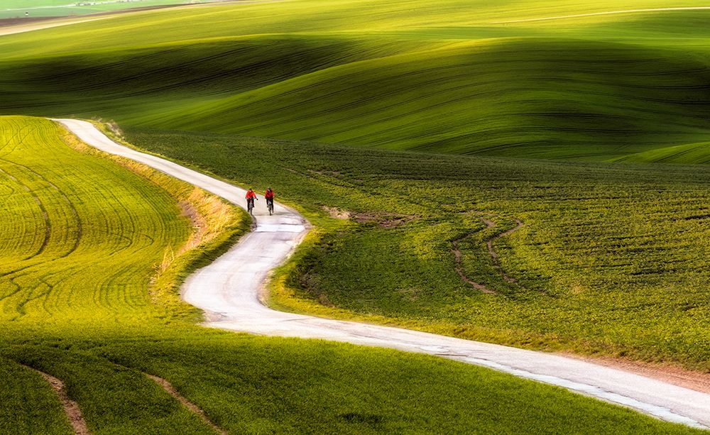cyclists art print by Piotr Krol for $57.95 CAD