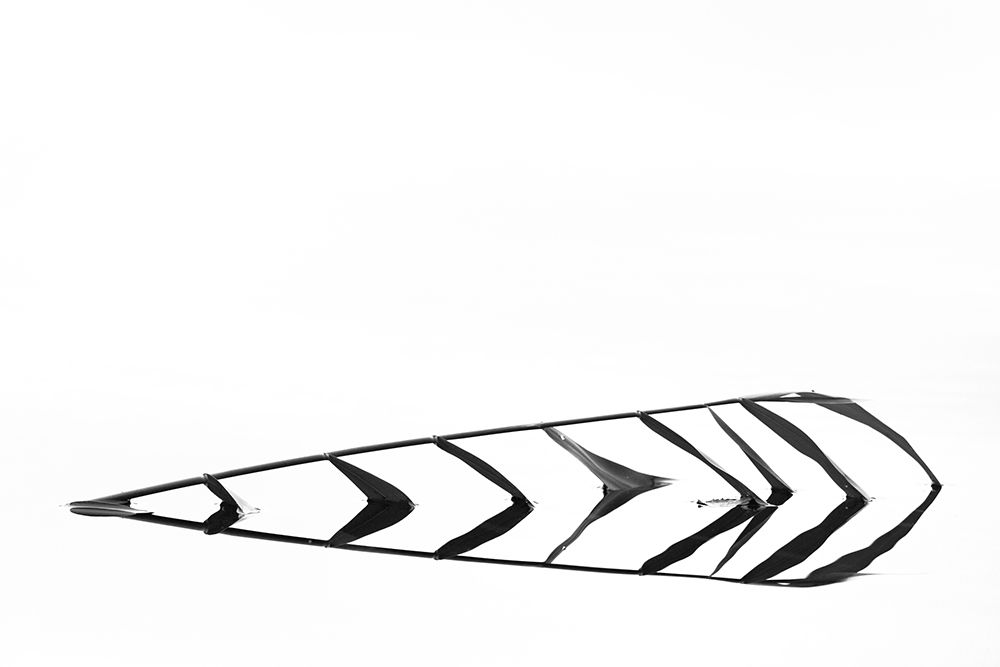 Fallen reed art print by Bror Johansson for $57.95 CAD