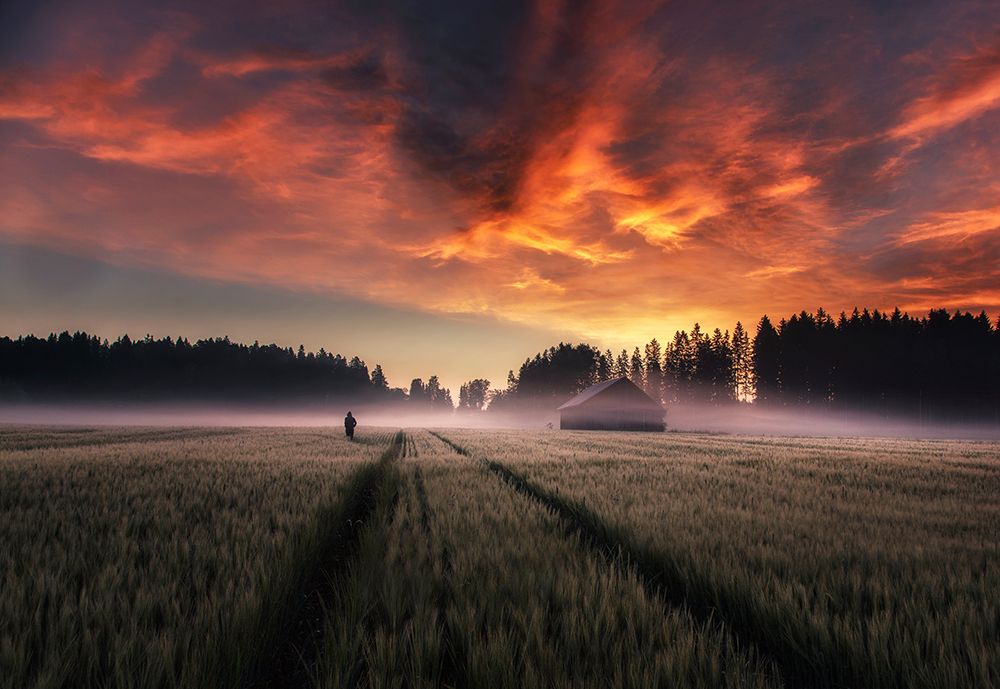 New Dawn. art print by Mika Suutari for $57.95 CAD