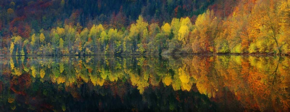 Autumnal Silence art print by Burger Jochen for $57.95 CAD