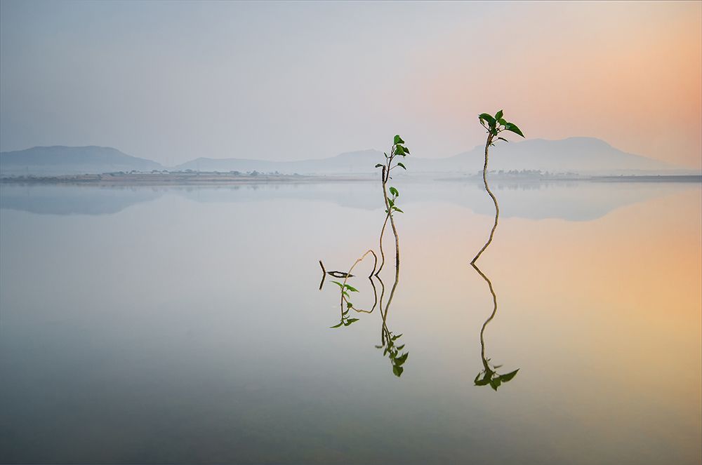 Reflection of Life art print by Pankaj Dhande for $57.95 CAD